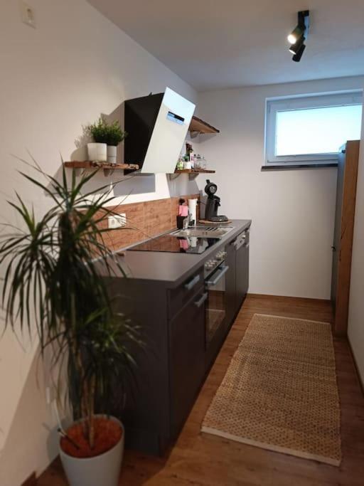 Altholzapartment In Kempten Waltenhofen Εξωτερικό φωτογραφία